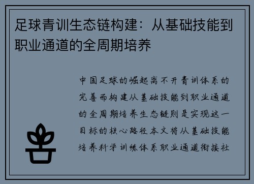 足球青训生态链构建：从基础技能到职业通道的全周期培养